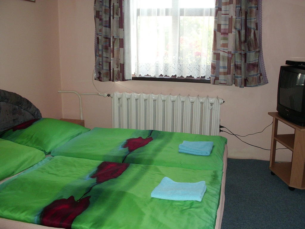 Pension Doctor Dvůr Králové nad Labem Szoba fotó